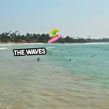 beginners guide to surfing