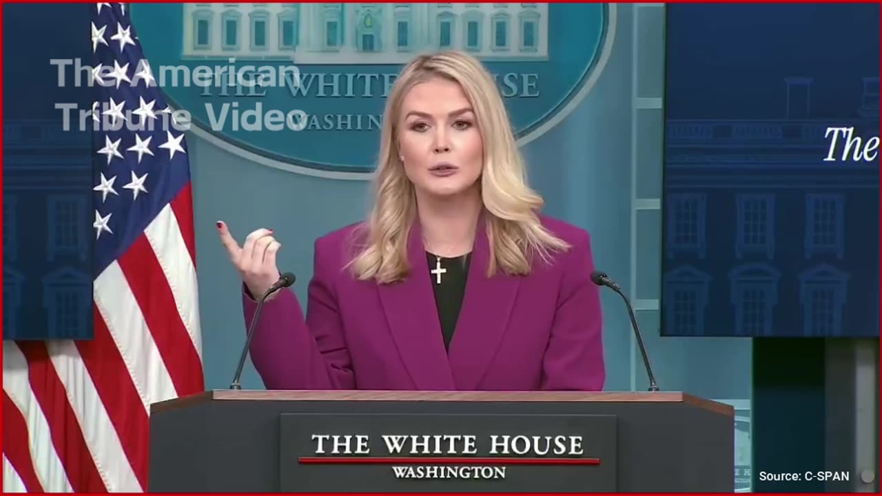 Watch: Leavitt Puts Biden Admin On Blast For Culling Millions Of Chickens, Higher Egg Prices