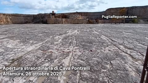 Altamura: apertura straordinaria della cava dei dinosauri a cura della Soprintendenza di Bari