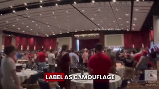 How the DSA Democrat Socialists of America have taken over the Democrat party