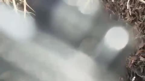 🔥 The Russians, who were racing in a bus with military aid for the soldiers, again attacked by