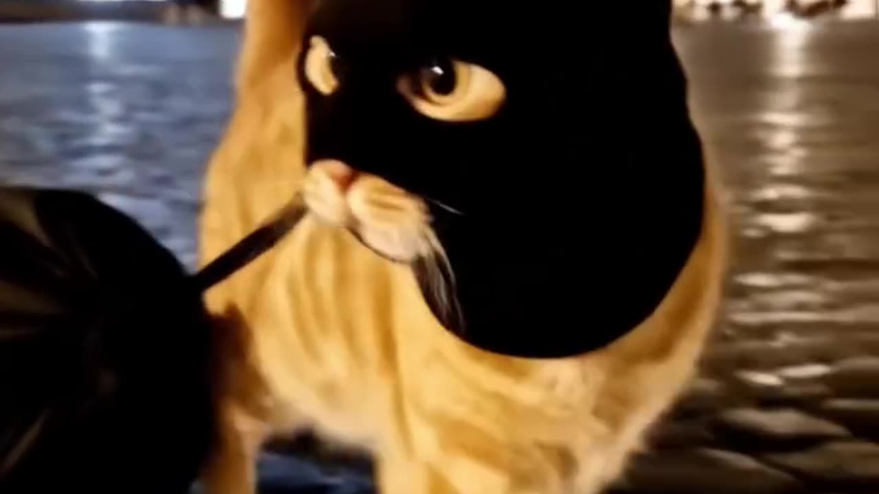 The Louvre Thief / El ladron de Louvre _kreadul