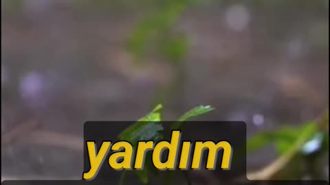 Günün sözü
