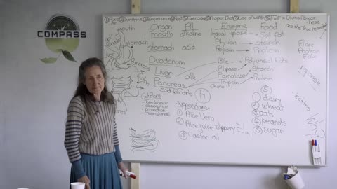 Barbara O'Neil - #29 - A Journey / Gastronomical Tract Pt. 3