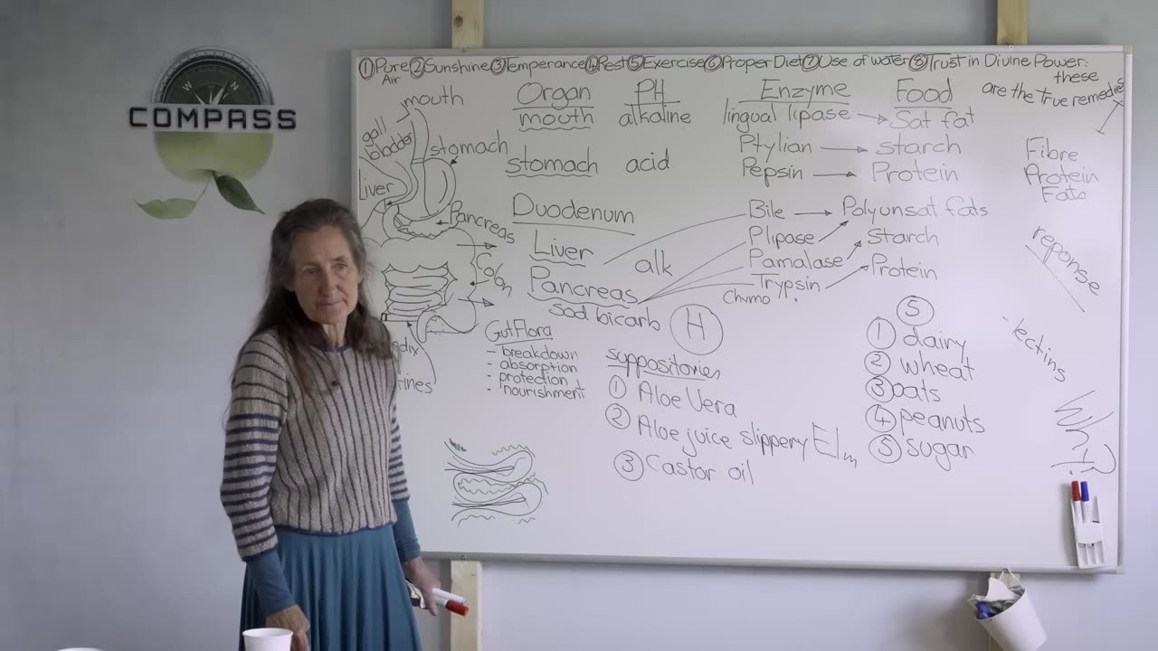 Barbara O'Neil - #29 - A Journey / Gastronomical Tract Pt. 3