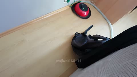 Kotełka kontra mop Vileda