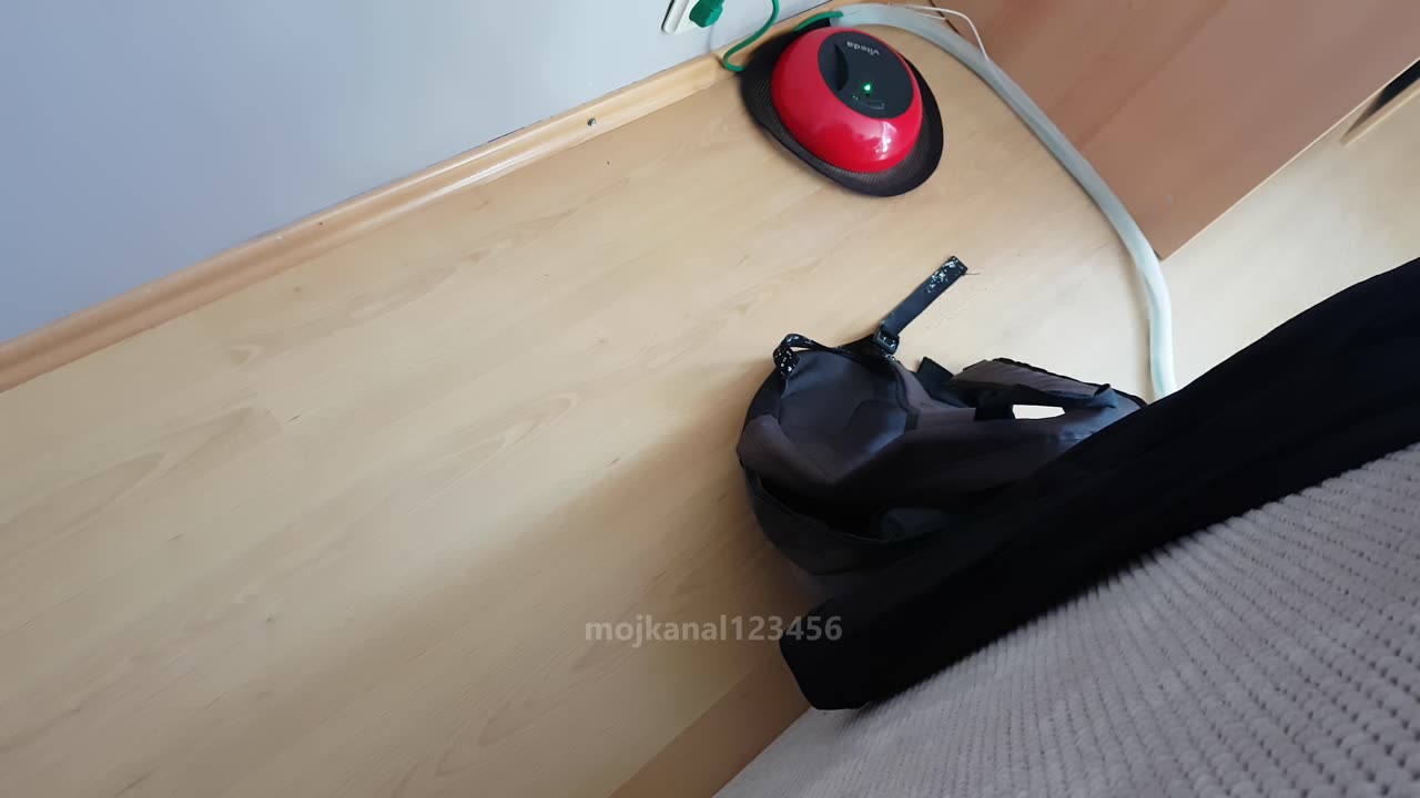 Kotełka kontra mop Vileda