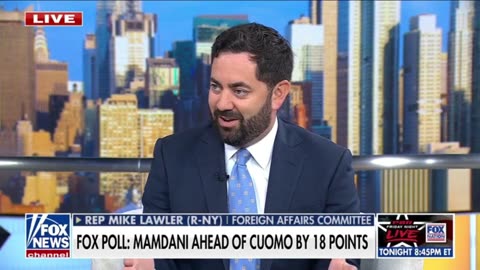 Mamdani Will Become The Face Of The Democrat Party