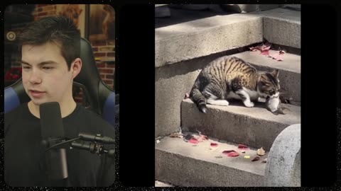 Saturday Special Edition!!! Animal News From Around The World...