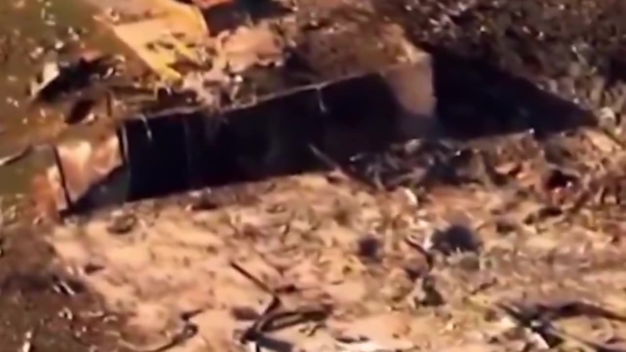 At least 19 people unaccounted for after blast at explosives manufacturer near Bucksnort, Tennessee