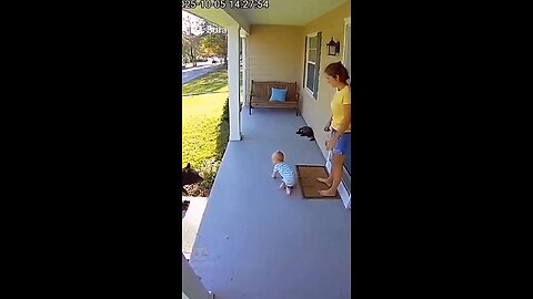 😱 You won’t believe what these security cameras caught! Cats turning into heroes — saving babies.