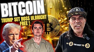 BITCOIN SILKROAD ROSS ULBRICHT SET FREE BY TRUMP!! DOES HE OWN 47 Million $ OF BTC???