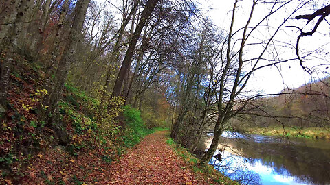 Autumn Walk in Nationalpark Thayatal - Nature ASMR