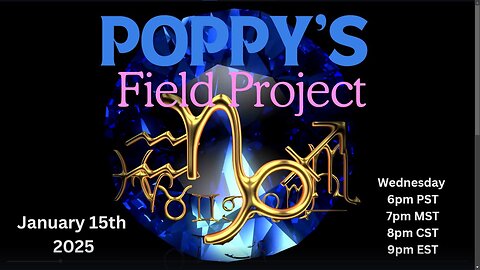 Poppy's Field Project 1/15/2025