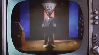 They told Us