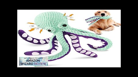 Squeaky Dog Toys for Large Dogs: Plush Dog Toys with Soft Fabric Review