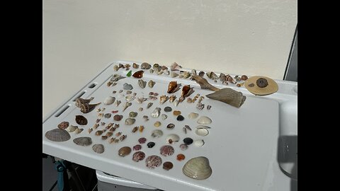 Beach Finds 1/3/2026 | 4K