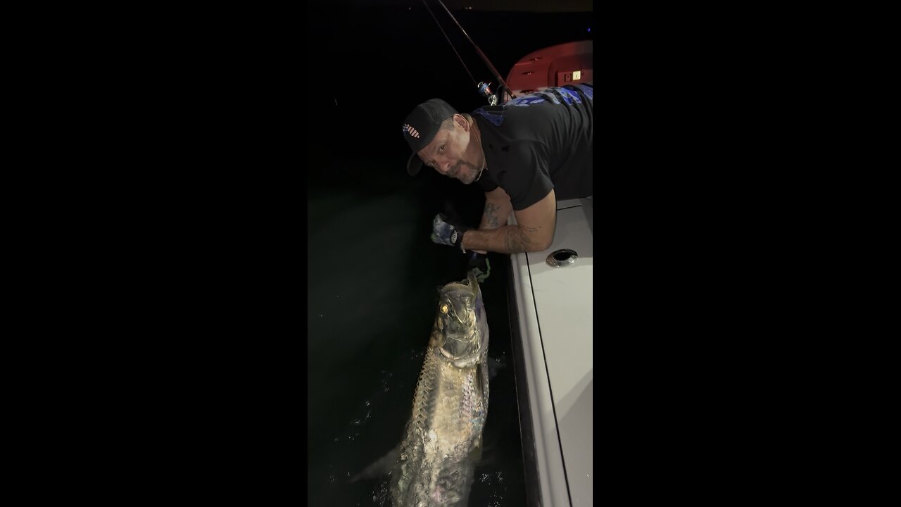 Tarpon Fishing Miami