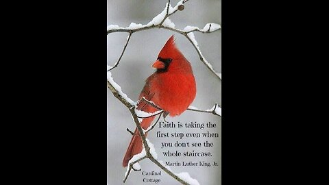 A Holiday Note🎁🙏🕊