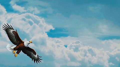 **"The Soaring King: Lessons from the Eagle"**