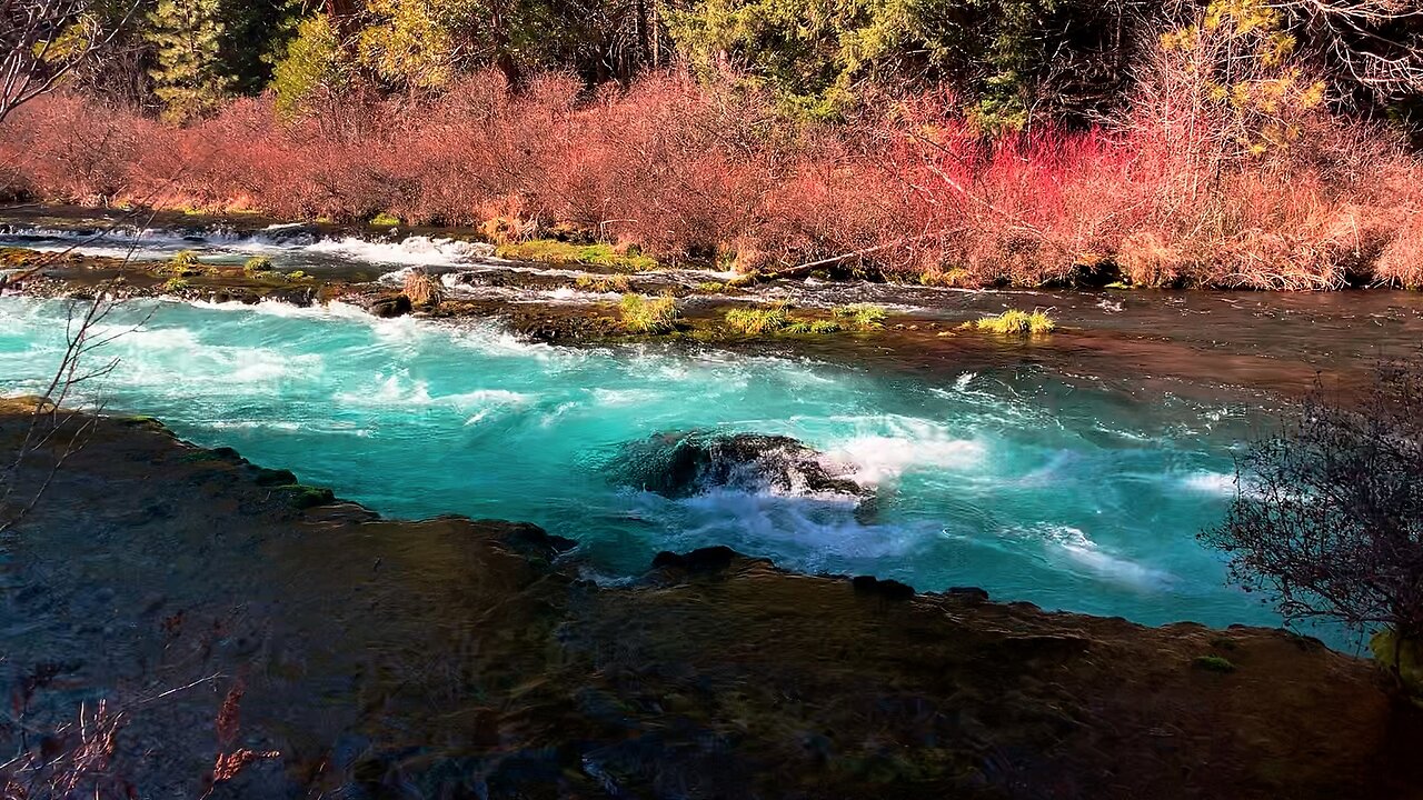 VIBRANT TURQUOISE Wizard Falls Hiking Exploring East Metolius River Trail | Deschutes Central Oregon