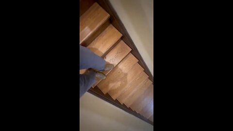 Anti-ICE Group Meeting In NC Training People To Help Illegals Avoid Deportation🤡😡