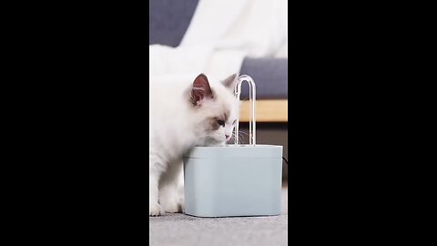 Automatic Pet Water Fountain