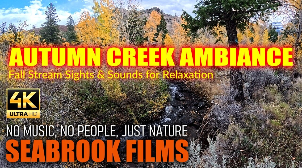Autumn Creek Ambiance: Fall Stream Sights and Sounds for Relaxation