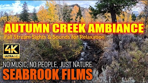 Autumn Creek Ambiance: Fall Stream Sights and Sounds for Relaxation