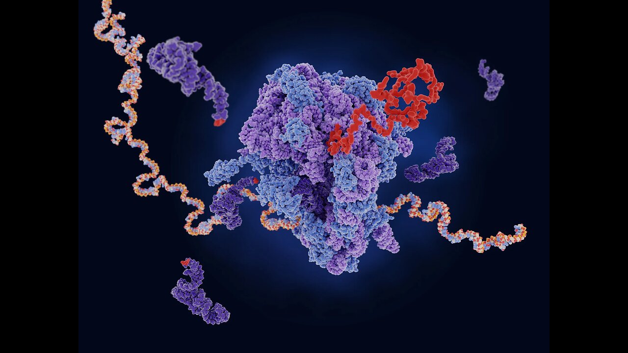 Will They Put mRNA In Everything? Fight Back With Food!