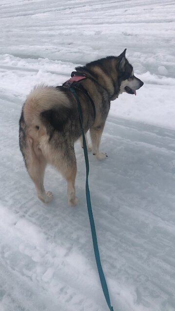 Wednesday February 26, The authorities are established by God.