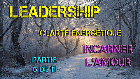 LeaderShip Partie 6 de 11