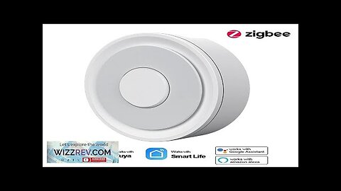 NEO Tuya Zigbe 3.0 Wired Gateway Hub Smart Home APP Remote Push Review