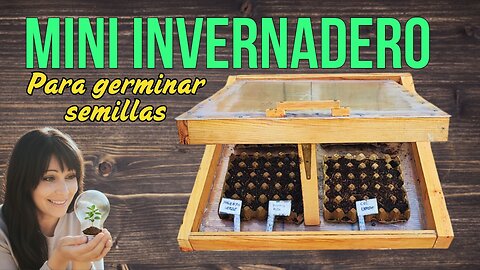 Cómo hacer invernadero para germinar semillas: Condensación y Humedad perfectas