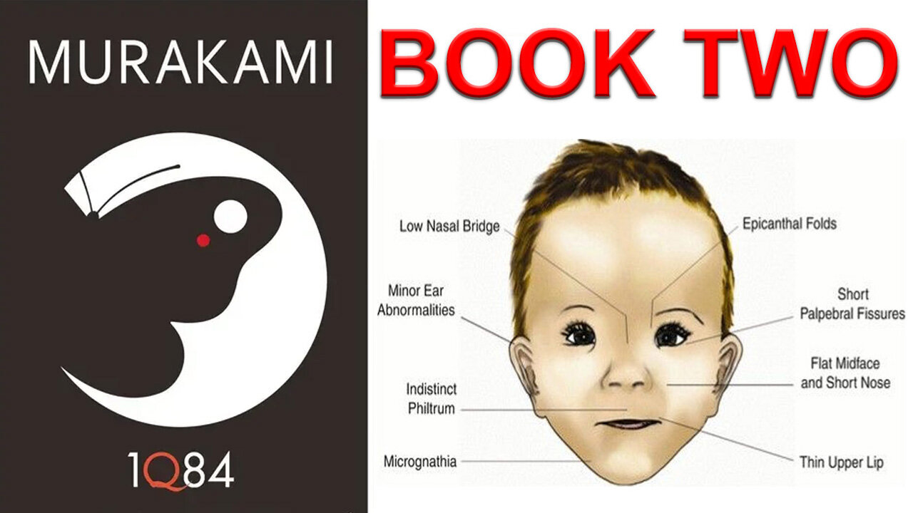 '1Q84' (1999) by Haruki Murakami [Book Two]