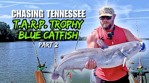 Chasing Tennessee T.A.R.P. Trophy Blue Catfish: Hunting 36-Inch+ Blues! | Part 2