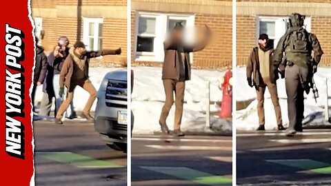 Newly released video angle shows Alex Pretti's full confrontation with ICE just days before his death