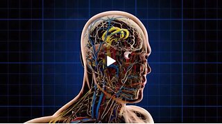 Zuckerberg’s Biohub And A.I. |Anthony Patch