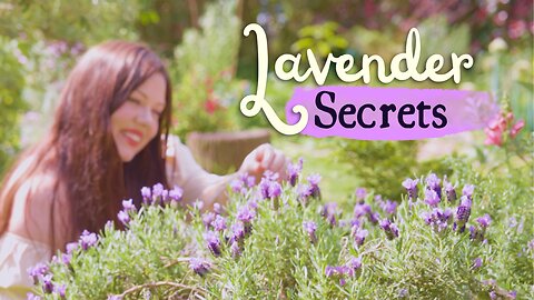 The Ultimate Lavender Guide 💜 DIY Remedies Backed By Science