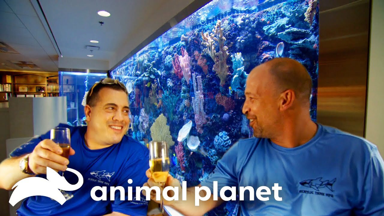 The Lifestyle of the Fish and Famous Tanked Animal Planet