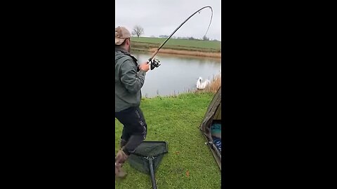 somerset fisheries