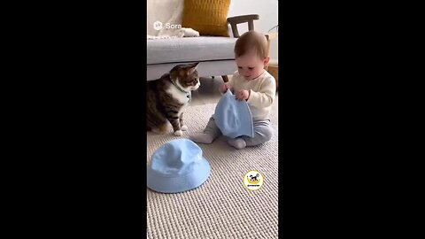 Copycat