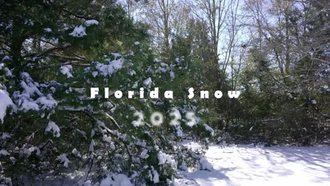 Florida Snow 2025