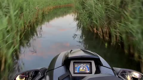 Jet Skiing Through a Marsh at Sunset