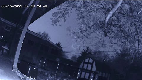 👻🐾 Unbelievable! Raccoon Caught with Mysterious Orb | TheHauntingHour
