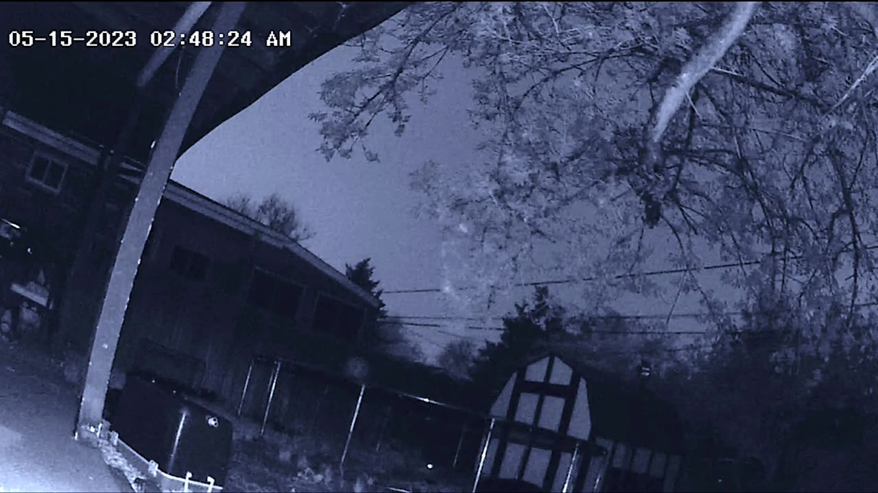 👻🐾 Unbelievable! Raccoon Caught with Mysterious Orb | TheHauntingHour