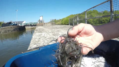 Mark Clark Portrush, Taylor Clark, the Griffiths and Crawford in Devon, UK, & Ireland 2013 to 2025.