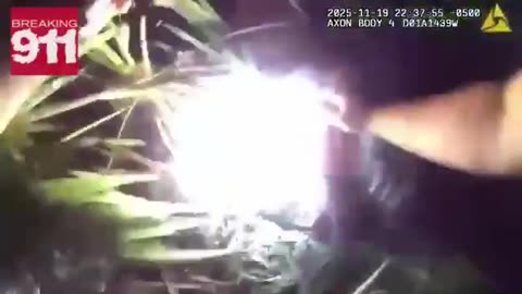 A Thanksgiving miracle’: Fla. deputies find missing 86-year-old man with dementia ALIVE