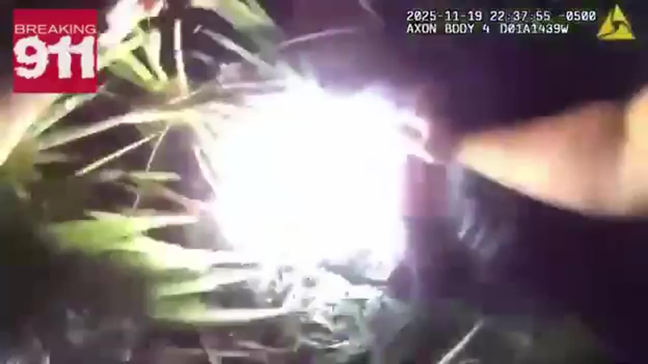 A Thanksgiving miracle’: Fla. deputies find missing 86-year-old man with dementia ALIVE