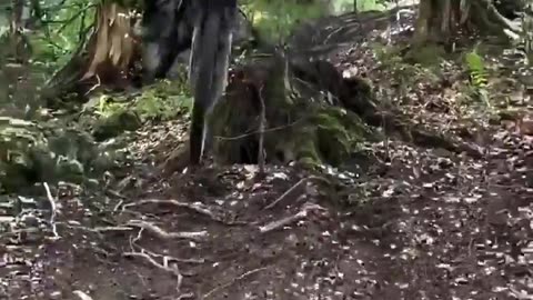 🤩❤️ When Life Aligns Perfectly For Just One Moment | FeedMyCuriosity